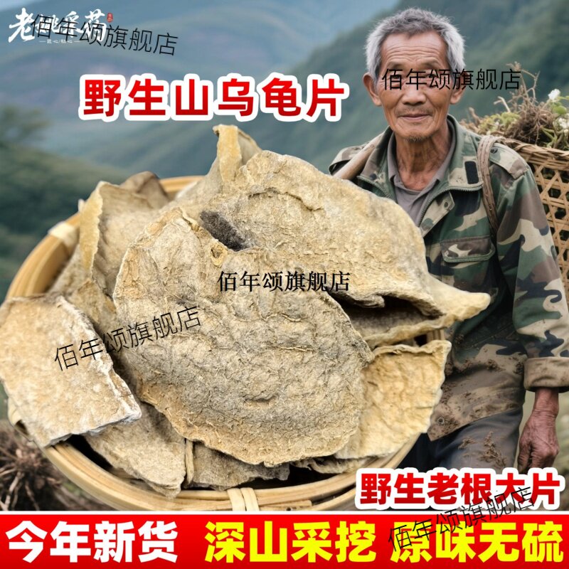 云南地不容材金换山乌龟