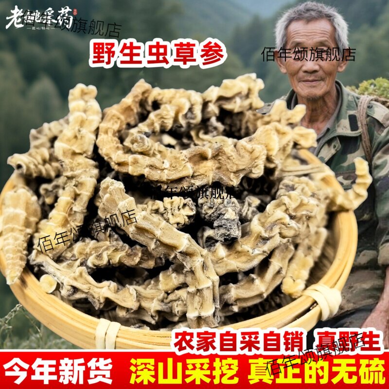 云南虫草参天王地顶柱竹