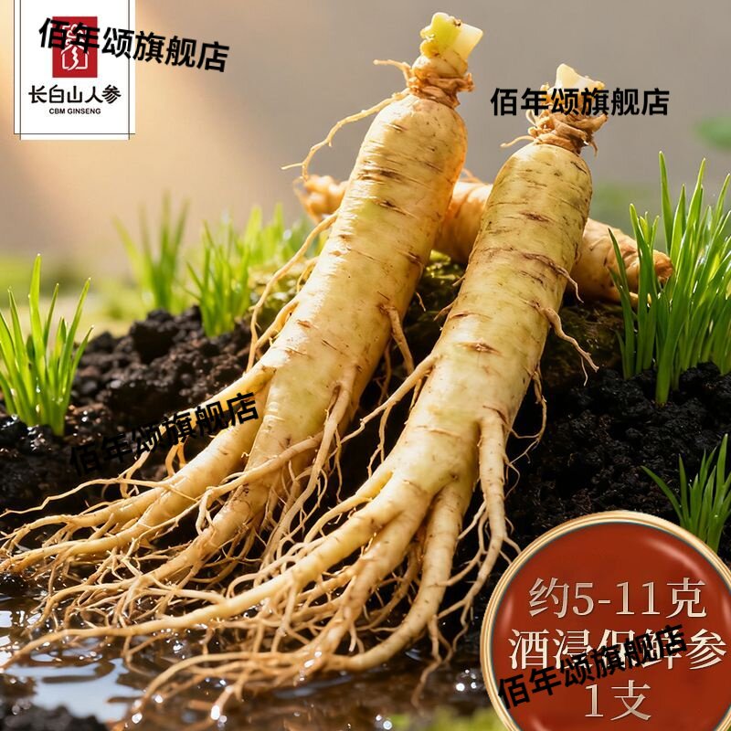 长白山人参酒浸保鲜独立装