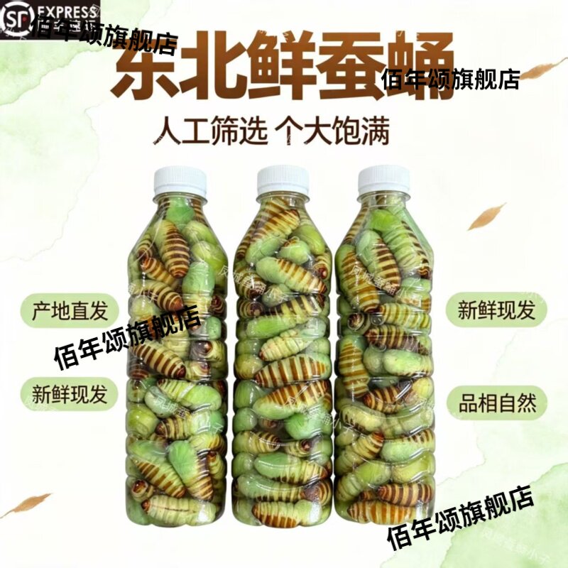 东北特产神仙蛹嫩蚕蛹冷冻包邮