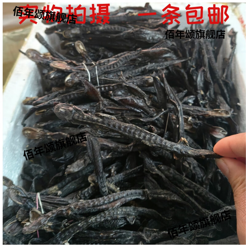 接gu丹 娃娃鱼 大鲵 正货 接丹娃娃鱼  干货骨折 消zhong