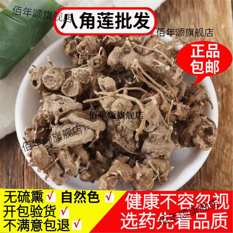 正品无硫八角金盘整株干货