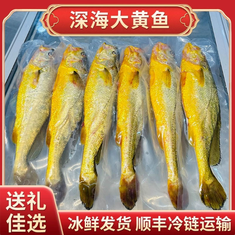 有机黄花鱼深海大黄鱼