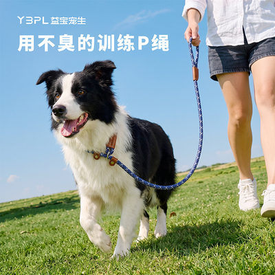 益宝宠生防臭抗菌狗狗P绳遛狗P绳