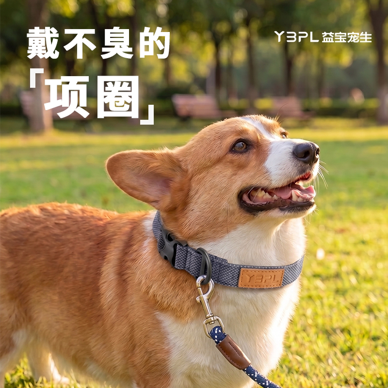 益宝宠生防臭抗菌狗狗项圈