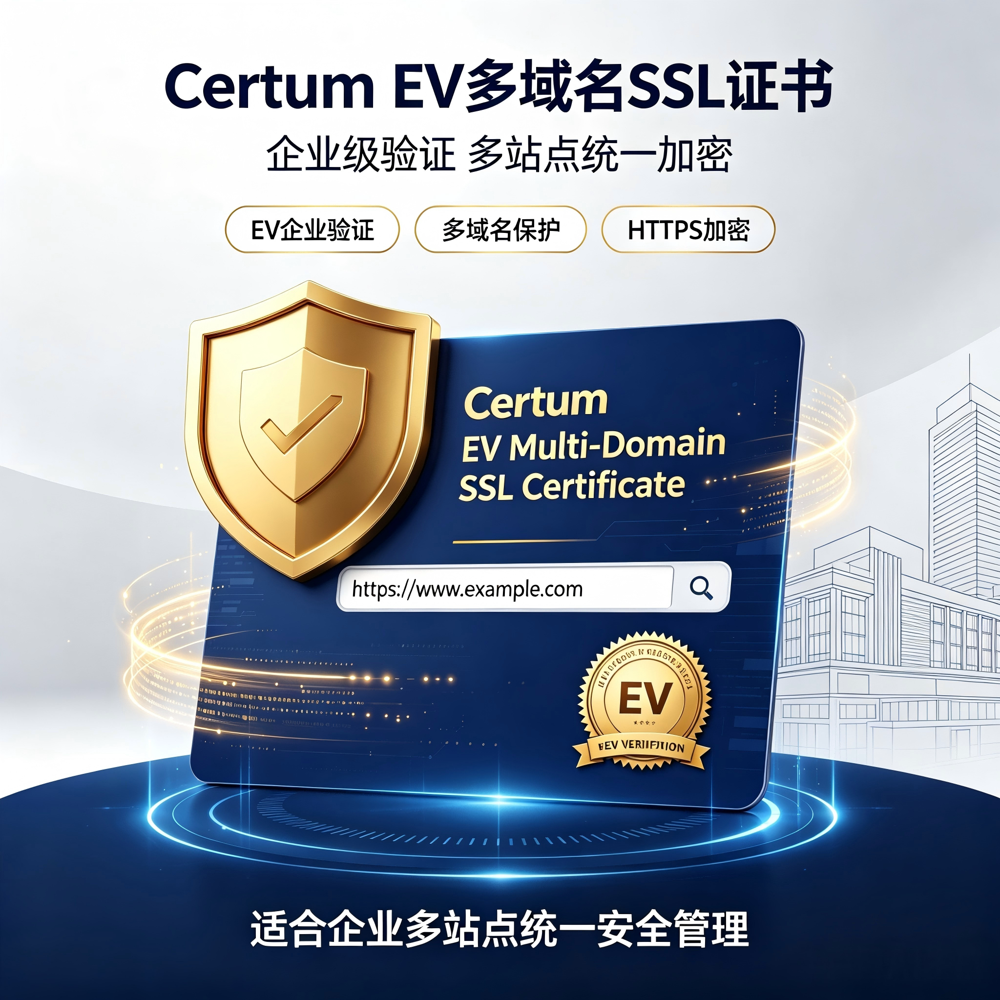 Certum EV多域名SSL证书高端企业认证多域名网站加密证书建站TLS