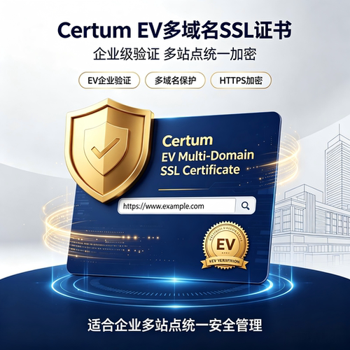 Certum EV多域名SSL证书高端企业认证多域名网站加密证书建站TLS