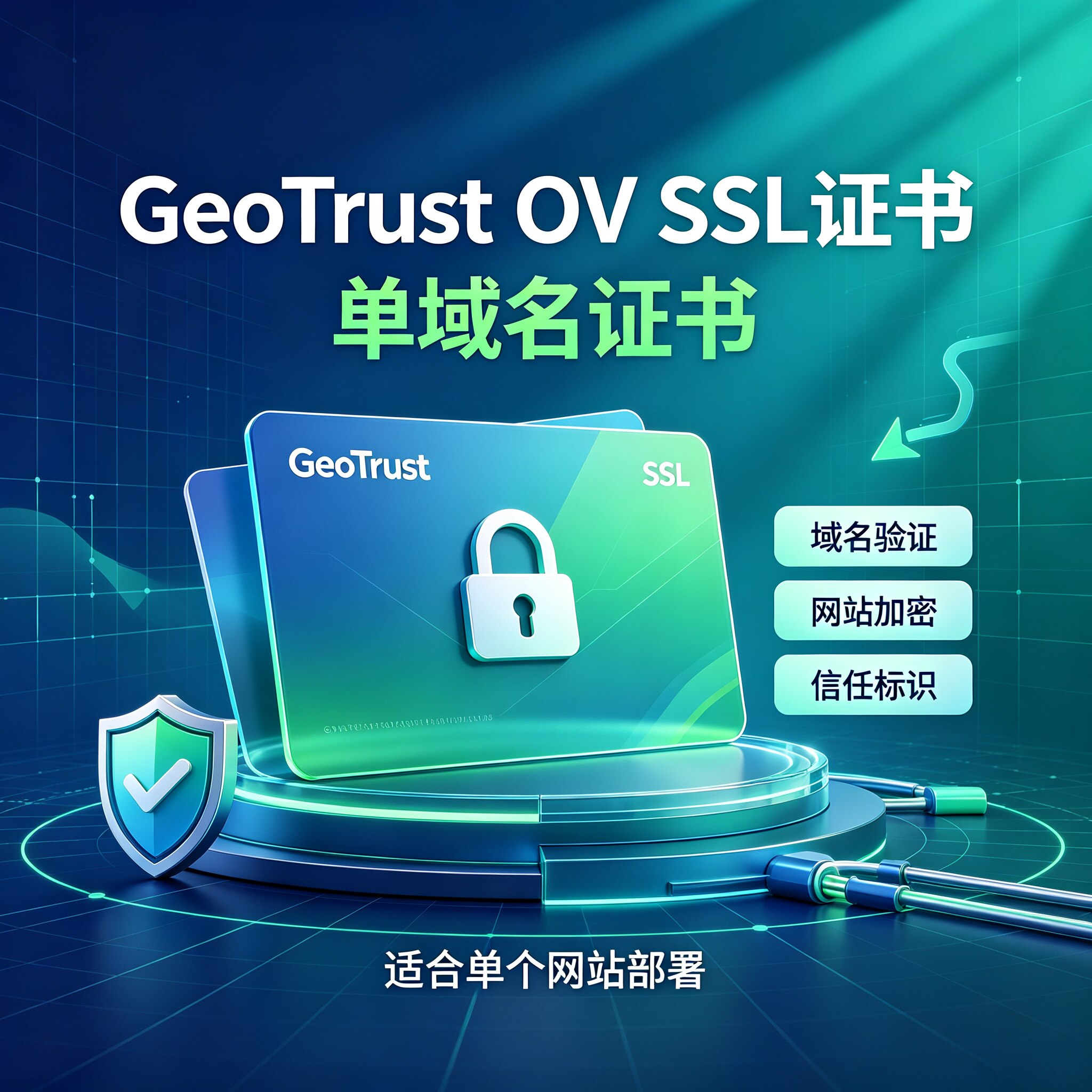 GeoTrust OV域名国际SSL证书单多域名通配符IP企业网站HTTPS加密