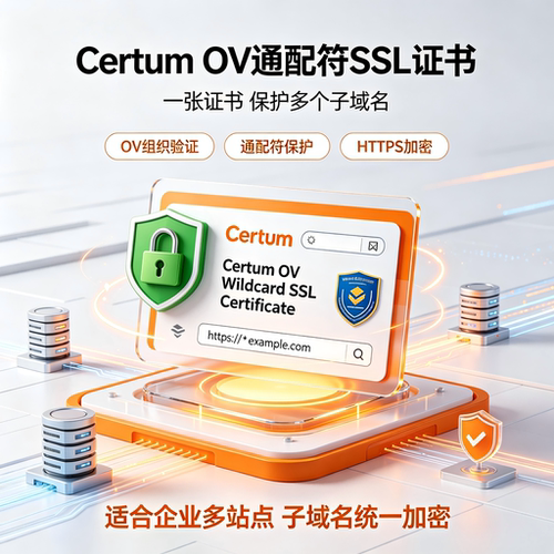 Certum OV通配符SSL证书企业组织认证多子域名HTTPS安全加密证书