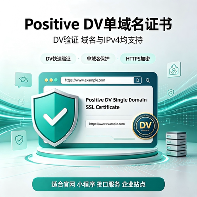 Positive DV单域名SSL证书网站域名IPv4通用HTTPS加密安全TLS认证