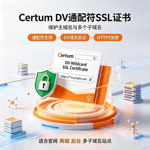 Certum DV通配符SSL证书全站子域名HTTPS加密网站安全认证TLS证书