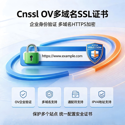 Cnssl OV多域名SSL企业证书支持域名通配符IPv4混合HTTPS加密可信