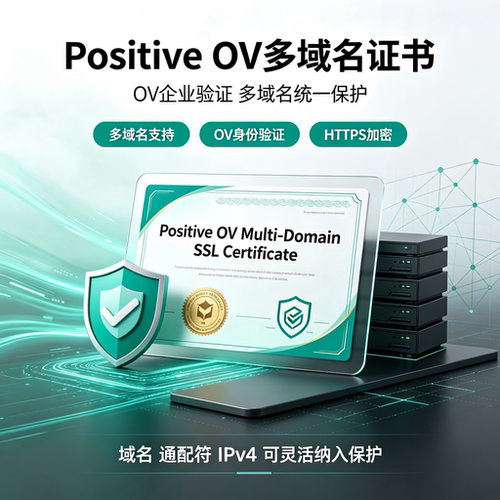 PositiveOV多域名SSL证书企业认证域名通配符IPv4全站安全加密TLS