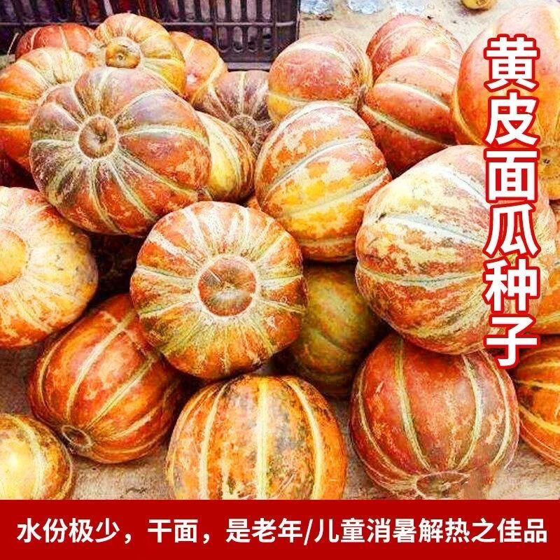 老式面瓜黄皮面瓜种子特产早熟甜面瓜类面瓜种子种子大全