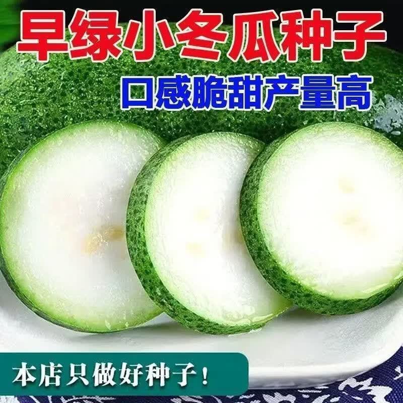 正宗早绿小冬瓜种子新鲜小个青皮冬瓜水果种籽四季春秋庭院种植种