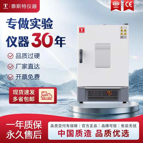 泰斯特直营电热恒温干燥箱恒温箱无风实验烘箱温烤箱工业箱WHL