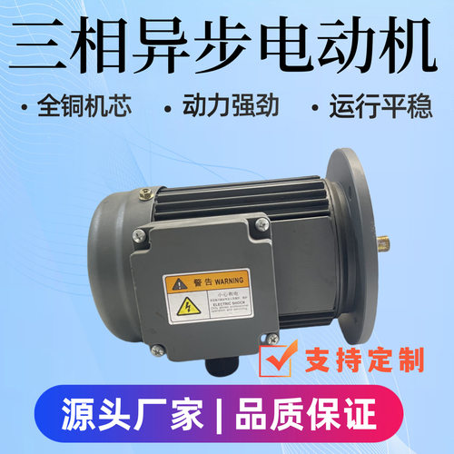 YE4立式全铜三相异步电机二级能效节能交流电动机变速器减速器