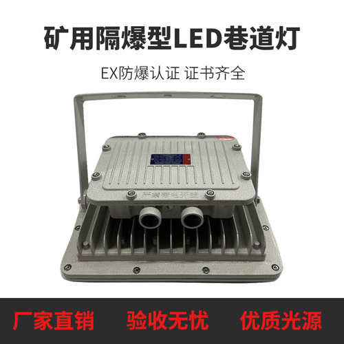 厂家直供DGS120/127L煤矿仓库厂房投光灯加油站罩棚LED免维护灯