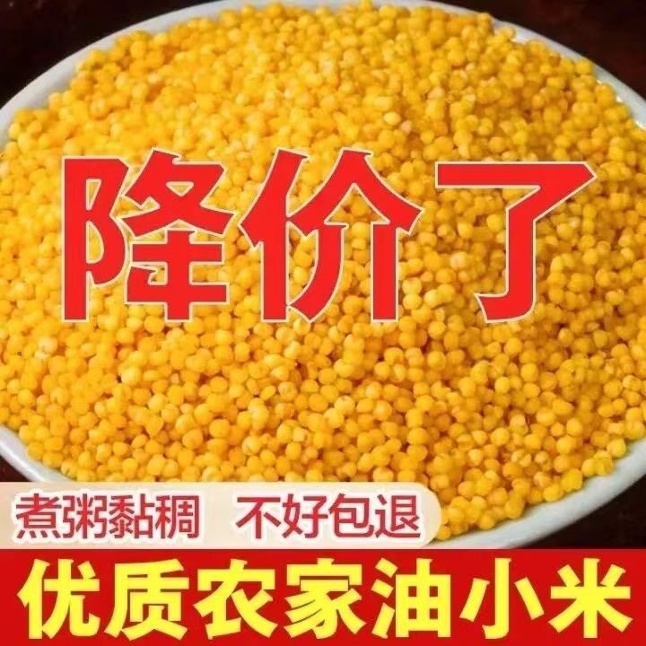当季新米山西老品种小颗粒黄小米新米煮粥米油五谷杂粮真空装包邮