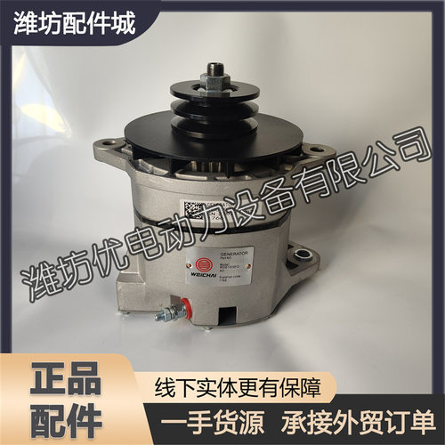 发电机1001938671适用于潍柴WHM6160机型6170船用8170发动机配件