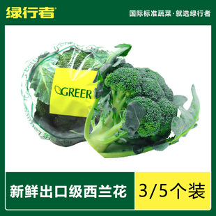 出口品质【绿行者】新鲜采摘西蓝花