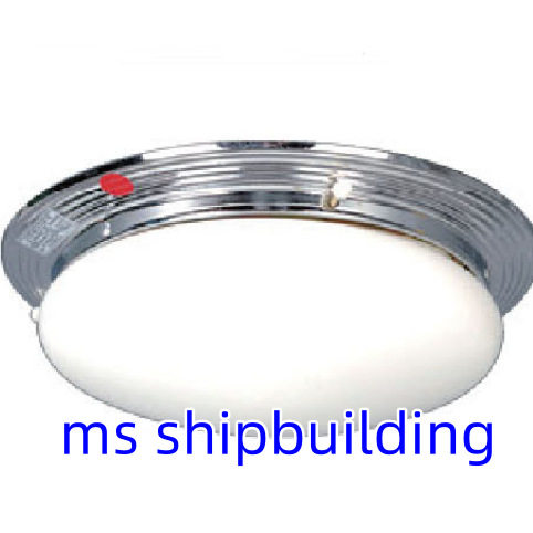 CPD1-2双泡蓬顶灯 Double- bulb ceiling light