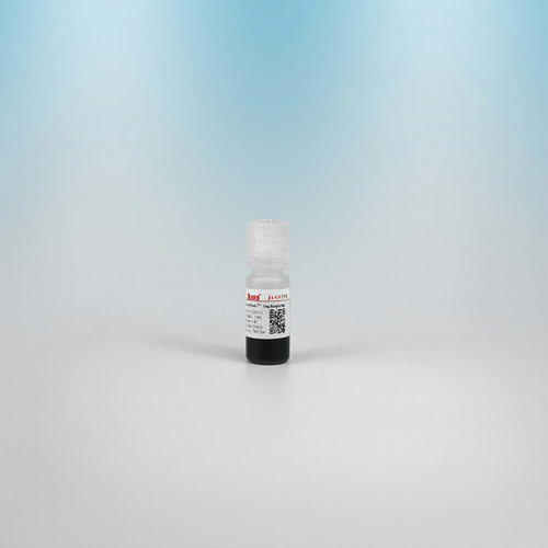 22307-10海狸链霉亲和素磁珠（1μm）10mL10mg/mL