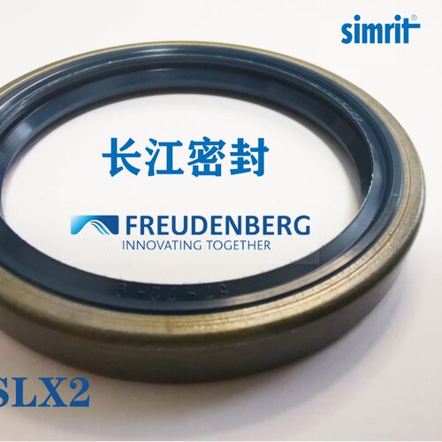 B1 FUD4 90-110  -12 -13A CFW 1德国进口外骨架油封 单唇口