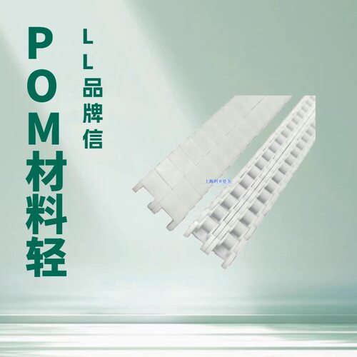 上海厂家双排40P链条  自动化设备传动 POM白色小节距输送链