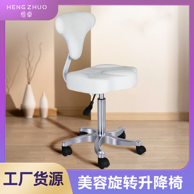 恒卓防爆气杆美容美发旋转椅 HZ-6056E