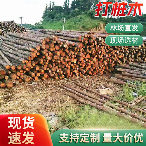 林场直发原木桩 防汛河道打桩木 建筑地基护坡工程木材家具松木桩