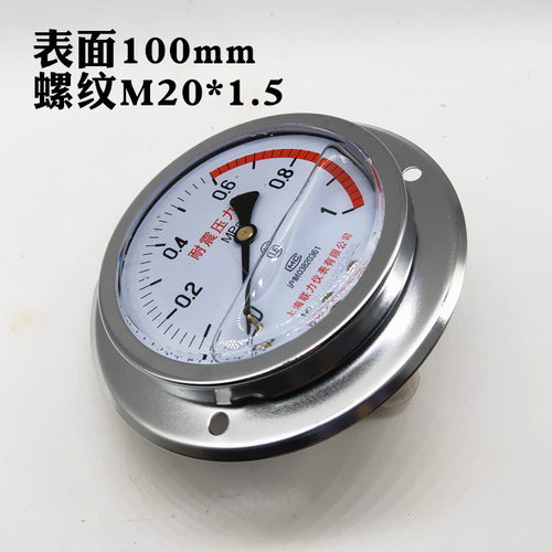 轴向带边耐震压力表YN-100ZT面板式油压表液压表0-11.6 40 60MPA
