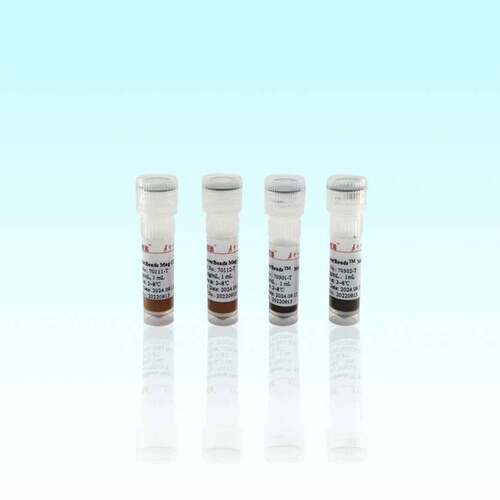 货号70102-50 Beaver 10mg/mL 羧基磁珠(2μm) 海狸