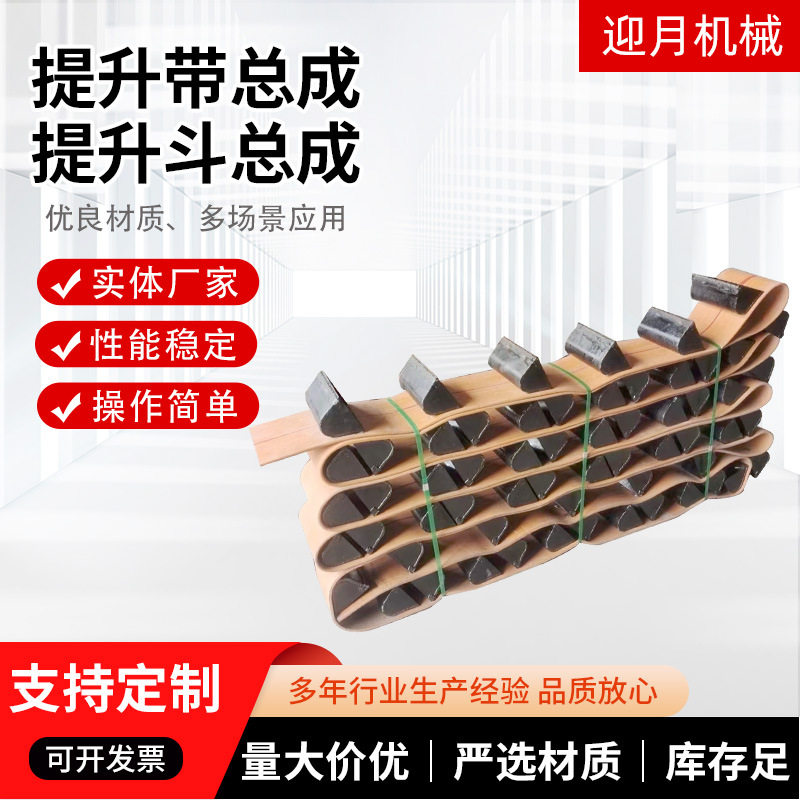 抛丸机提升带总成抛丸机打砂机喷砂机配件提升斗总成上料输送带图片