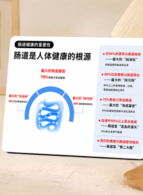 肠道健康科普宣传桌面摆件