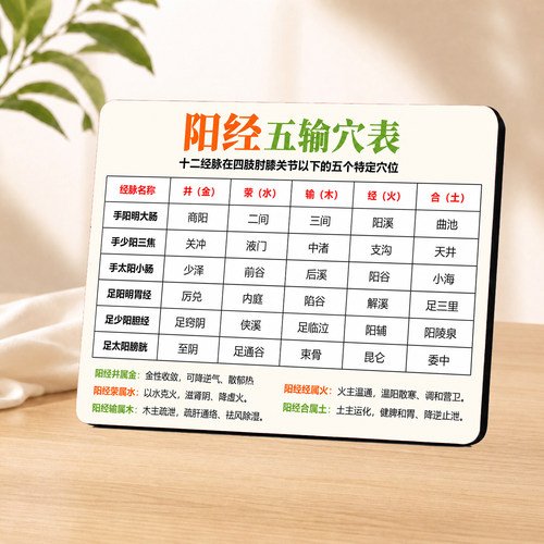 常用中医学习阳经五输穴表桌面摆件诊室学习参考提示立牌