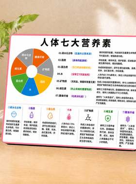 人体七大营养素科普桌面摆件
