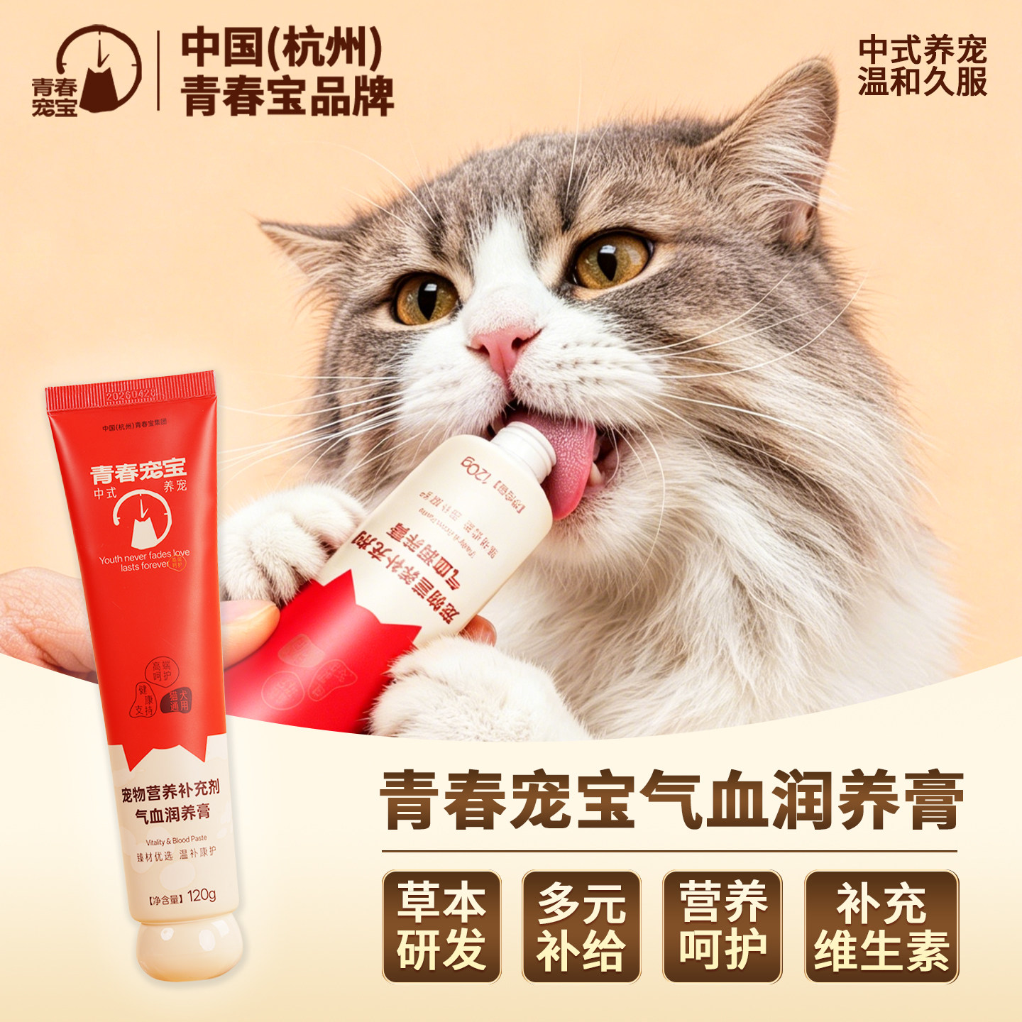 青春宝集团青春宠宝气血润养膏补血膏温和草本营养补充剂120g
