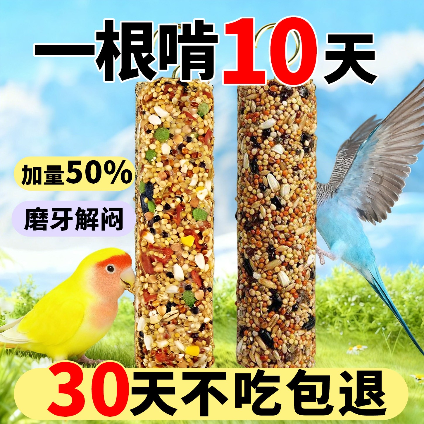 鹦鹉虎皮加量磨牙解闷奖励鸟粮