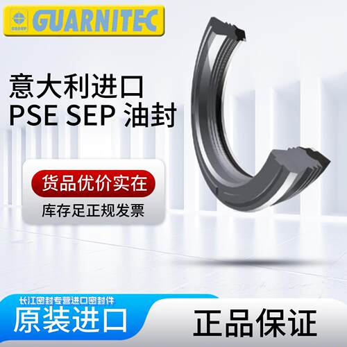 TECNOTEX PSE 472393 意大利原装进口密封圈 油缸油封