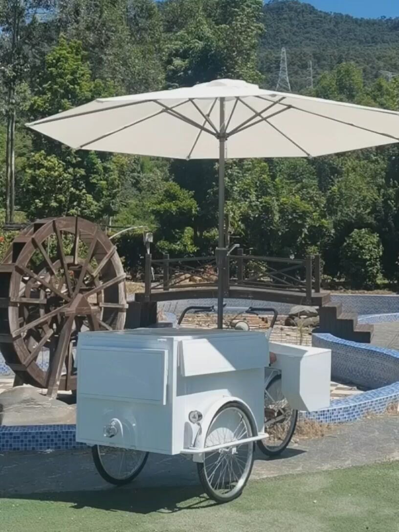 移动美食车花艺街景多功能流动摊位售货车景区铁艺花箱花架面包车图片