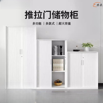 钢制带锁文件柜推拉卷门柜铁皮柜档案资料凭证办公文件柜储物柜子