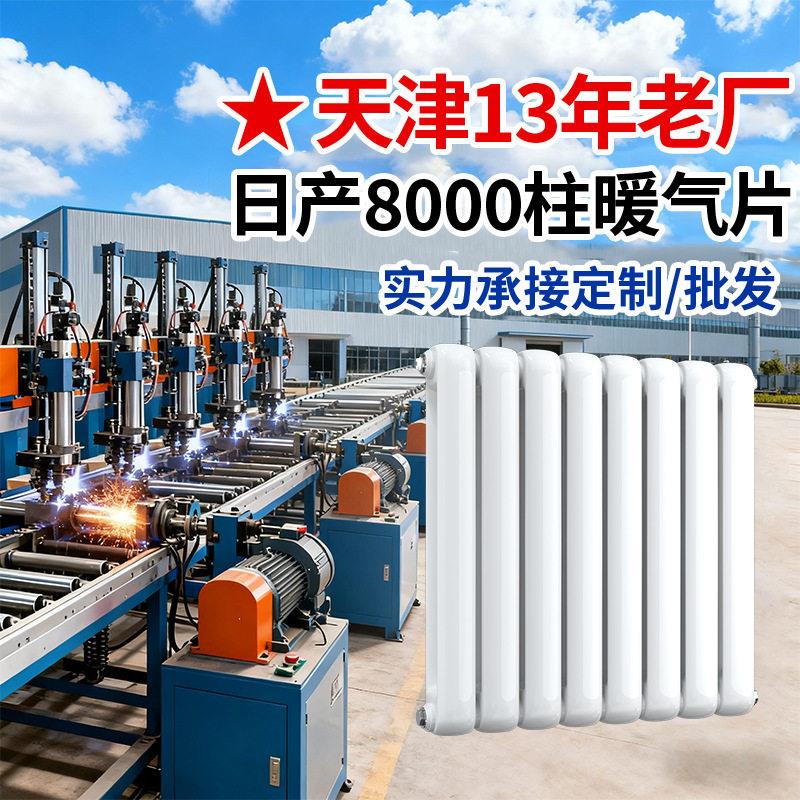 钢二柱600暖气片家用钢制暖气片散热器集中供暖卫生间壁挂暖气片