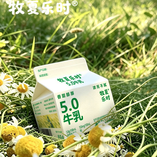 牧夏乐时5.0优质乳蛋白低温牛奶