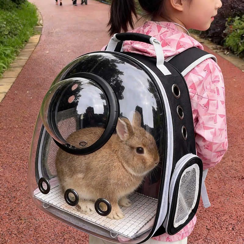 兔子背包外出神器便携带厕所宠物侏儒垂耳兔荷兰猪龙猫外带的箱包