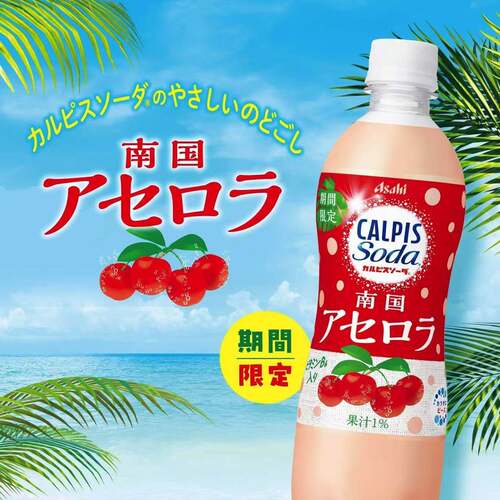 日本进口朝日可尔必思季节限定南国樱桃味乳酸菌碳酸饮料500ml