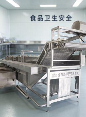 豆芽清洗去壳机全自动豆芽菜水洗去壳设备商用自动豆芽水洗清洗机