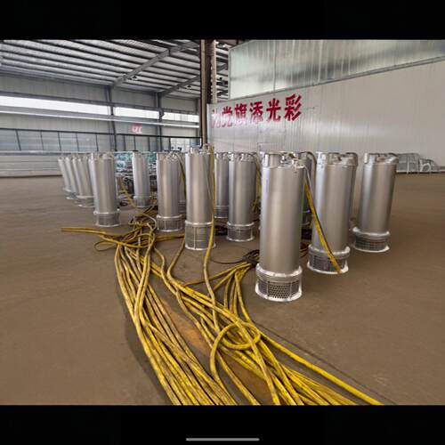 WQP不锈钢隔爆型潜水泵 WQB大流量BT4/CT4防爆潜污泵 防爆证