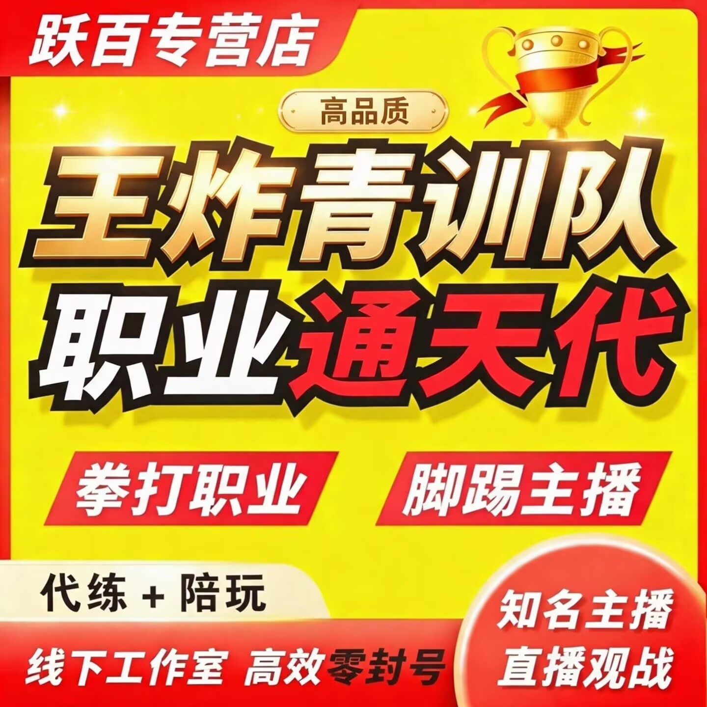 王者荣耀代练代打陪玩车上分排位小国标省标金标国标英雄战力巅峰图片
