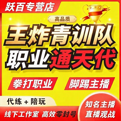 王者荣耀代练代打陪玩车上分排位小国标省标金标国标英雄战力巅峰